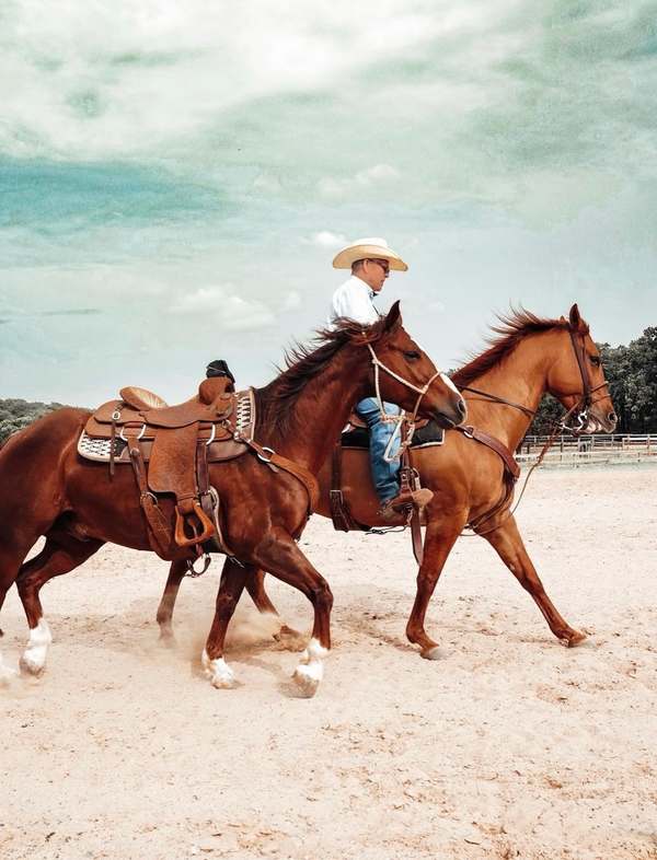 A rider leading a second horse across a sandy arena